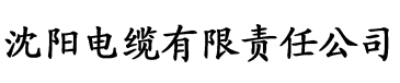 久久精九国品在线入口电缆厂logo